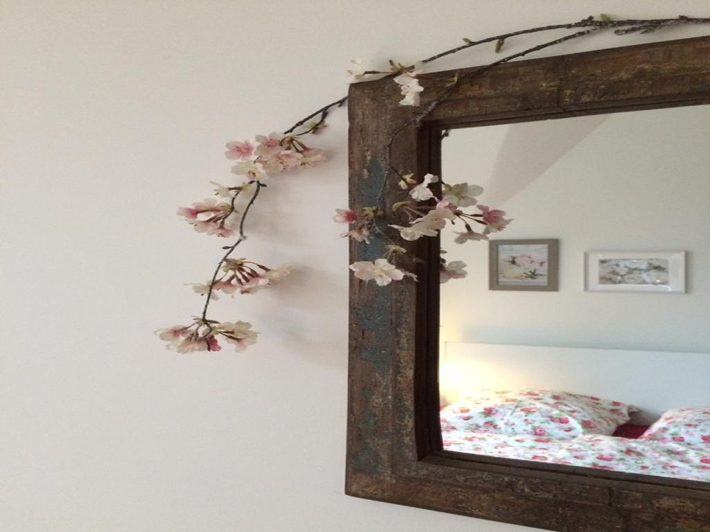 Villa Eschebach - Ferienwohnung Dresden Dış mekan fotoğraf